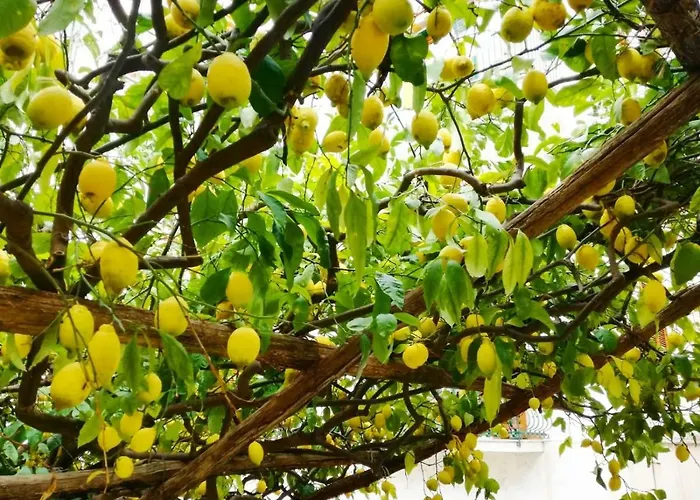 Ferienhaus A Passo Duomo *