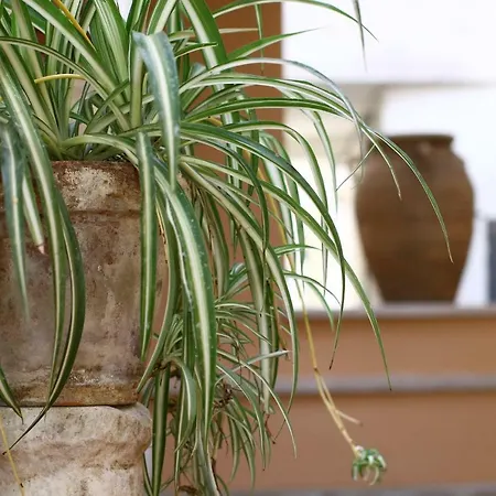 펜션 A Passo Duomo