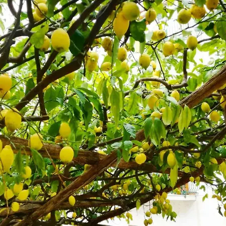 Semesterbostad A Passo Duomo *